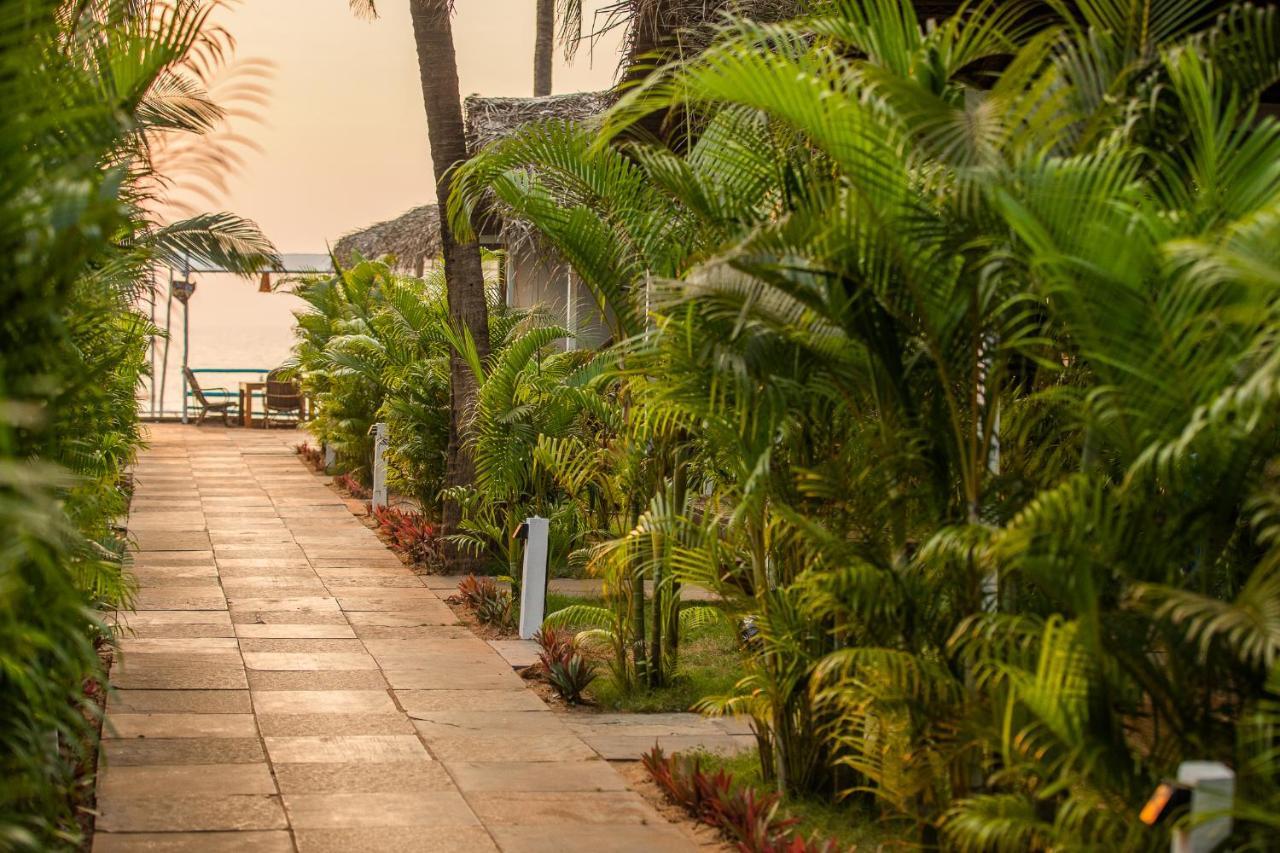 Agonda Shell Beach Resort Canacona Eksteriør billede